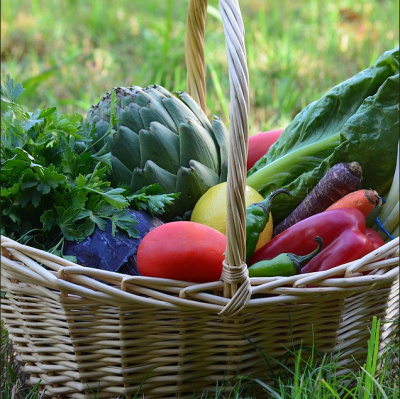 Alimentação Saudável - Janaina Goston