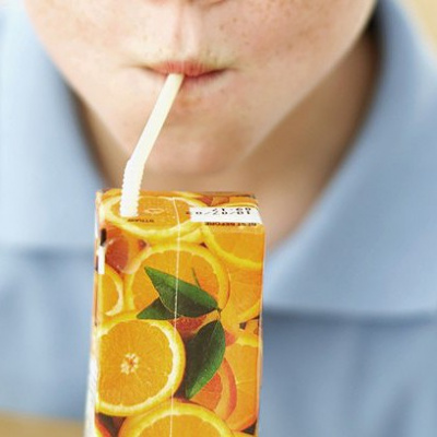 Alimentação Saudável - Janaina Goston