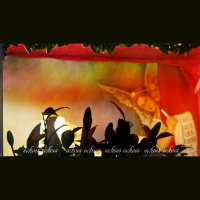 cadence : echoes echoes