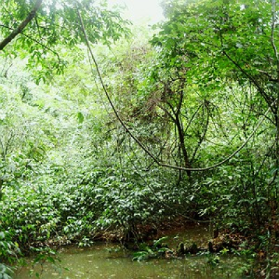 Cidades Sustentáveis Jorge Abrahão