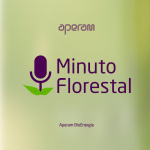Aperam Bioenergia