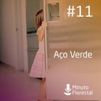 Minuto Florestal #11 - 31 - 12 - 2017 - Aço Verde