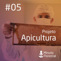 Minuto Florestal #05 - 19 - 11 - 2017 - Projeto Apicultura