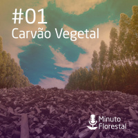 Minuto Florestal #01 - Carvão Vegetal