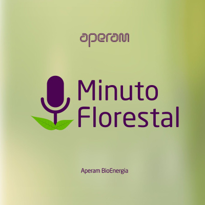 Aperam Bioenergia