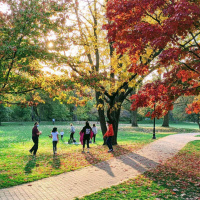 819 - O que as áreas verdes podem fazer pela sua saúde mental e física?