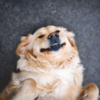 1007 - Quer ter a pronuncia perfeita em inglês? The Other /U/