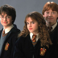 319 - Harry Potter 