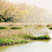 804 - Tudo o que você precisa saber sobre South Carolina!