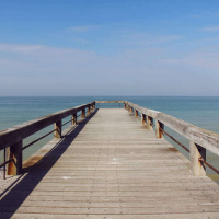 923 - O que aprendemos em 5 anos de cursos online