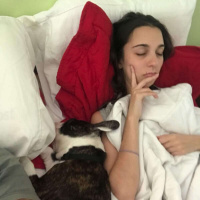 258 - 32 horas de trabalho por semana? Vocabulário de Business English! 