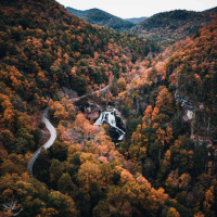 995 - U.S. Fun Facts: North Carolina