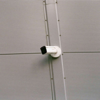 761 - O que significa estar presente? Muito vocabulário em inglês!