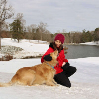 285 - Costco: Uma experiência americana 