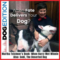 794 - Indicação de um podcast em inglês que adoramos!