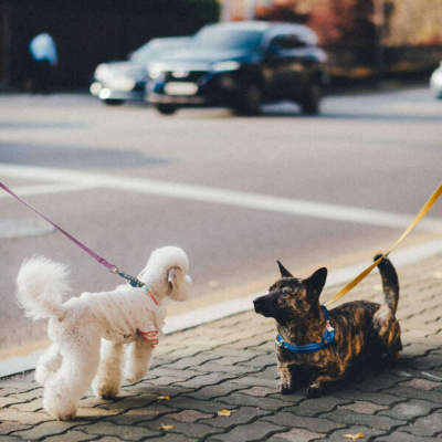 Inglês Nu E Cru Rádio