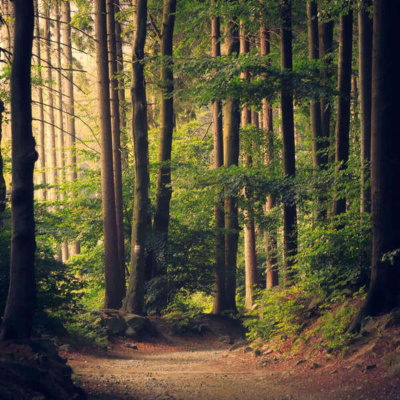 Inglês Nu E Cru Rádio