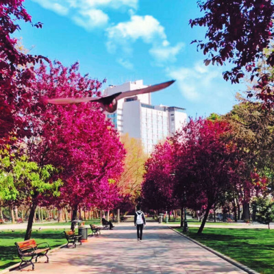 Inglês Nu E Cru Rádio