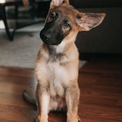 Inglês Nu E Cru Rádio