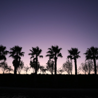 Ep. 3 - Andando Por Aí...