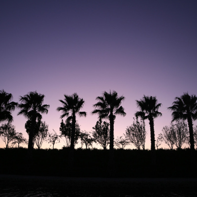 Isto Podia Ser Um Blog