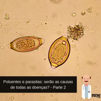 072 Poluentes e parasitas: será a causa de todas as doenças? - Parte 2