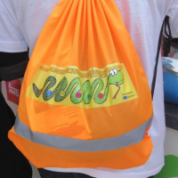 Caminhada das Escolas Serpente Papa-Léguas, Évora