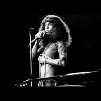 Gal, Callado e Ana C. nos tempos da ditadura