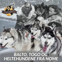 #128: Balto, Togo og Heltehundene fra Nome