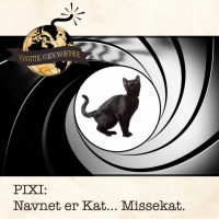 PIXI: Navnet er Kat... Missekat.