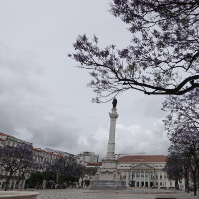 Não Sei O Que O Amanhã Trará - Um Passeio Sonoro Na Lisboa De Fernando Pessoa