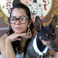 48 - Nicho de Costura: confecção de roupas pet com Aury Moda Pet