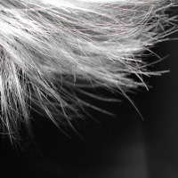 A crescente mudança na relação de muitas mulheres com cabelos brancos