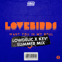Lovebirds - Want In My Soul (Lowdelic x Kev Summer Mix)