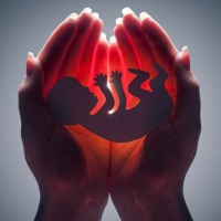 Genecast #028 - Aborto de Repetição