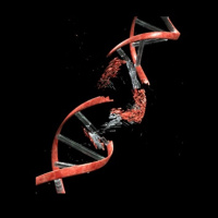 Genecast #009 - Li-Fraumeni