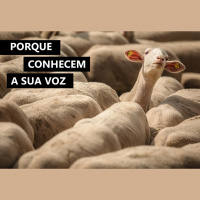 Porque conhecem sua voz