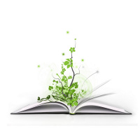 Vivendo a palavra viva.