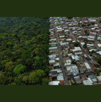 Rumo a 2030, Brasil enfatiza plano para manter floresta em pé e gerar renda