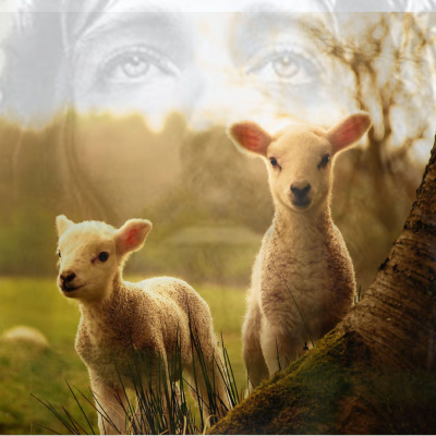 Mensagens De Graça E Paz