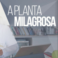 #039 - Moringa Oleífera: Incontáveis Benefícios