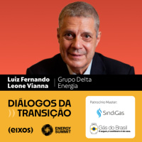 Calibragem de risco custa R$ 3 bi ao setor elétrico, diz Delta Energia | Luiz Fernando Vianna - diálogos da transição 2026
