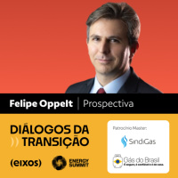 Minerais Críticos: o que esperar do marco regulatório? | Felipe Oppelt - diálogos da transição 2026