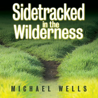 Sidetracked in the Wilderness Audiobook by Michael Wells