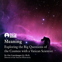 Meaning Audiobook by Dr. Guy Consolmagno SJ PhD
