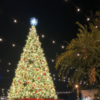 Christmas is here!