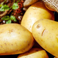 Why are potatoes so addictive?