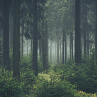 Transcendent Serenity: A Journey to Inner Bliss Meditation