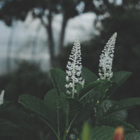 Relax Deeply Now - Guided Meditation