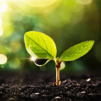 5 Minute Guided Meditation for Inner Peace